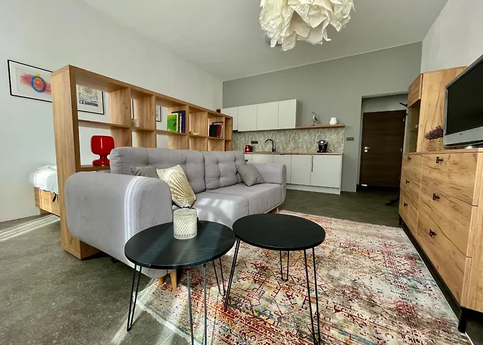 Center Near Train And Bus Station * ジリナ