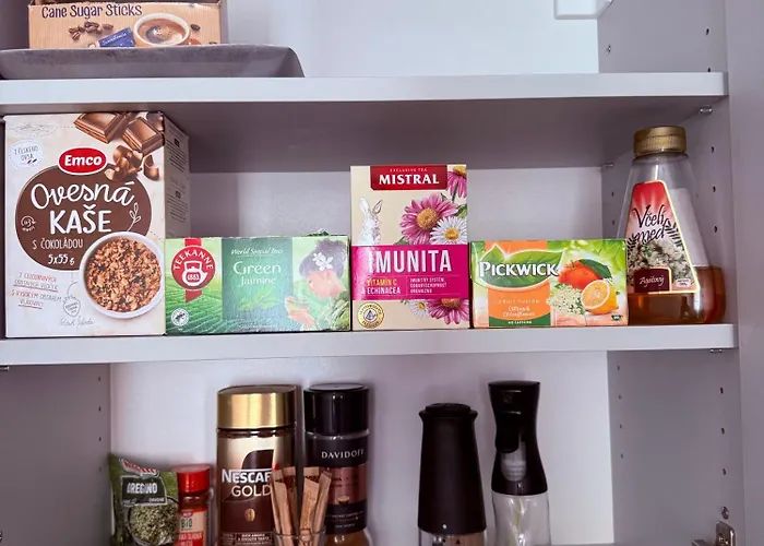 Center Near Train And Bus Station アパート ジリナ